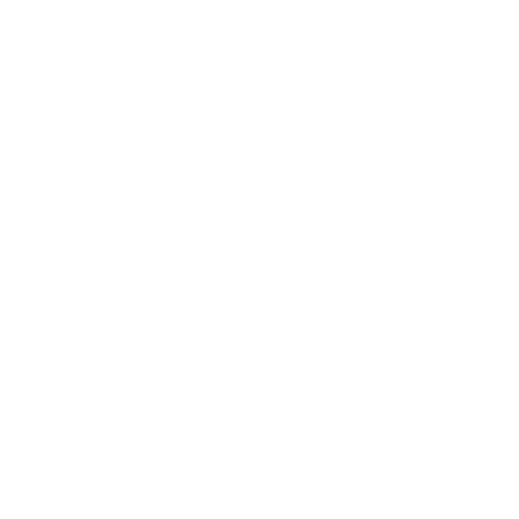 zakelijk-inzicht_logo